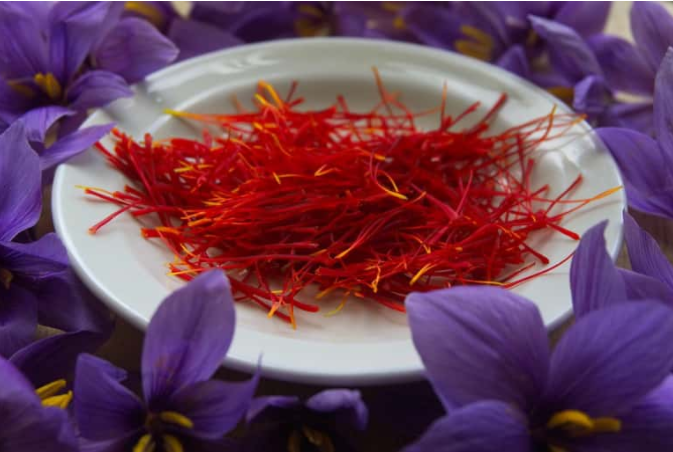 Saffron là dược liệu khá được ưa chuộng sử dụng trong đời sống
